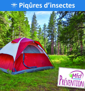 Piqûres d’insectes : ennemi n°1 de votre été