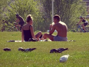 canicule